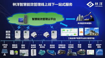 创新的能效管理方案 林洋能源 云 端解决电力需求侧管理